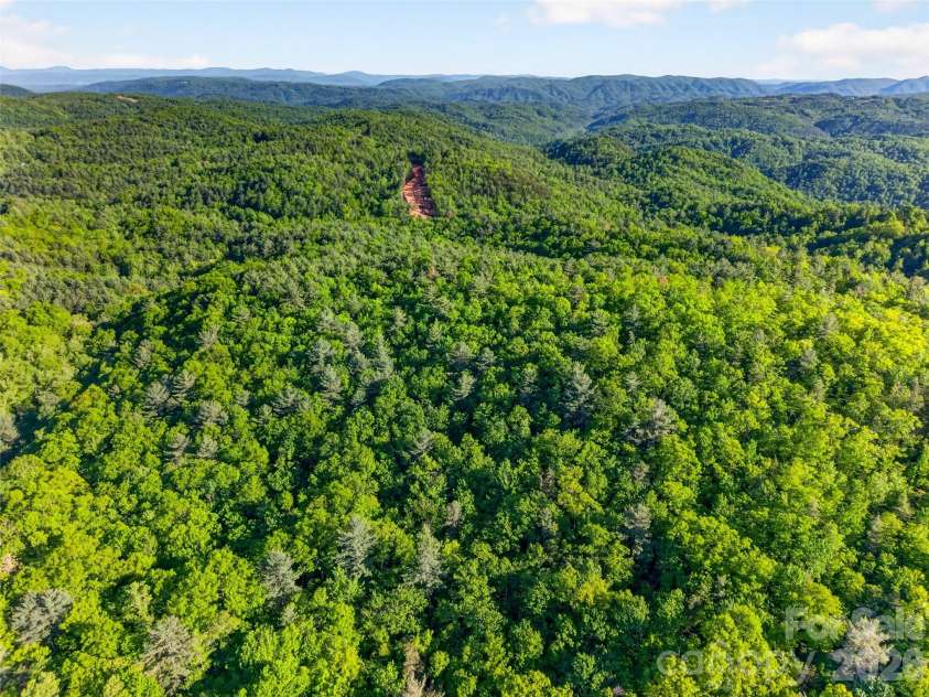 451 Signal Tree Road, Deep Gap, NC 28618.  MLS# CAR4374563, YatesRealty ID 20306. 