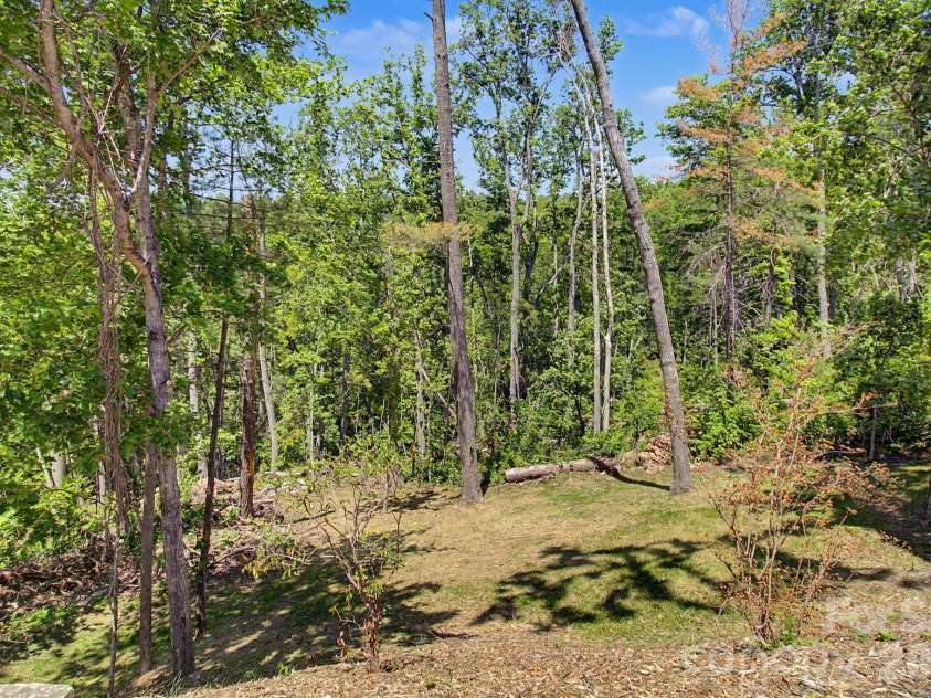 5 Kent Place, Asheville, NC 28804.  MLS# CAR4379895, YatesRealty ID 20313. Back Yard