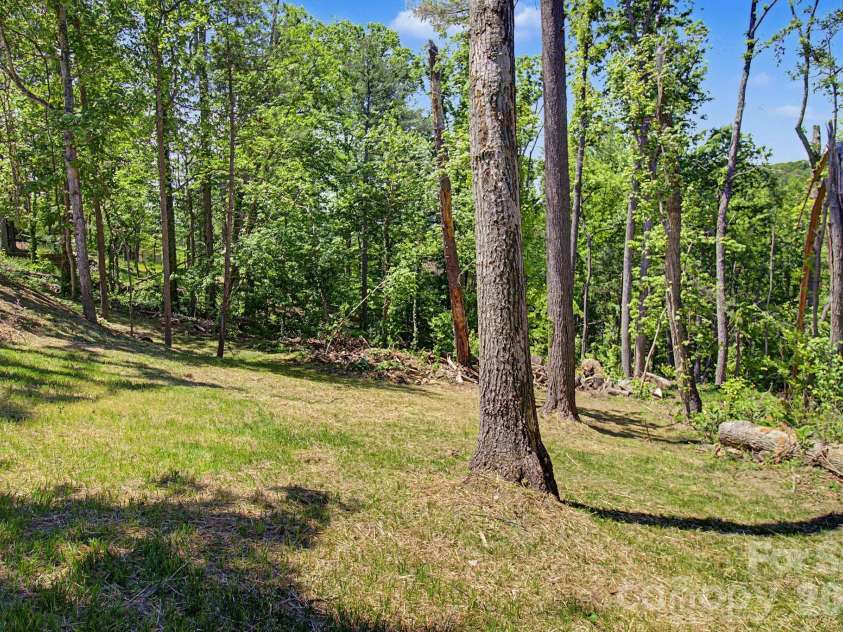 5 Kent Place, Asheville, NC 28804.  MLS# CAR4379895, YatesRealty ID 20313. Back Yard