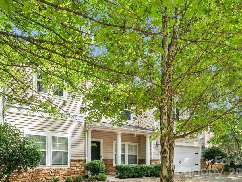 6934 Evanton Loch Road, Charlotte, NC 28278.  MLS# CAR4423258, YatesRealty ID 20316. Beautiful trees perfect for shade and privacy..