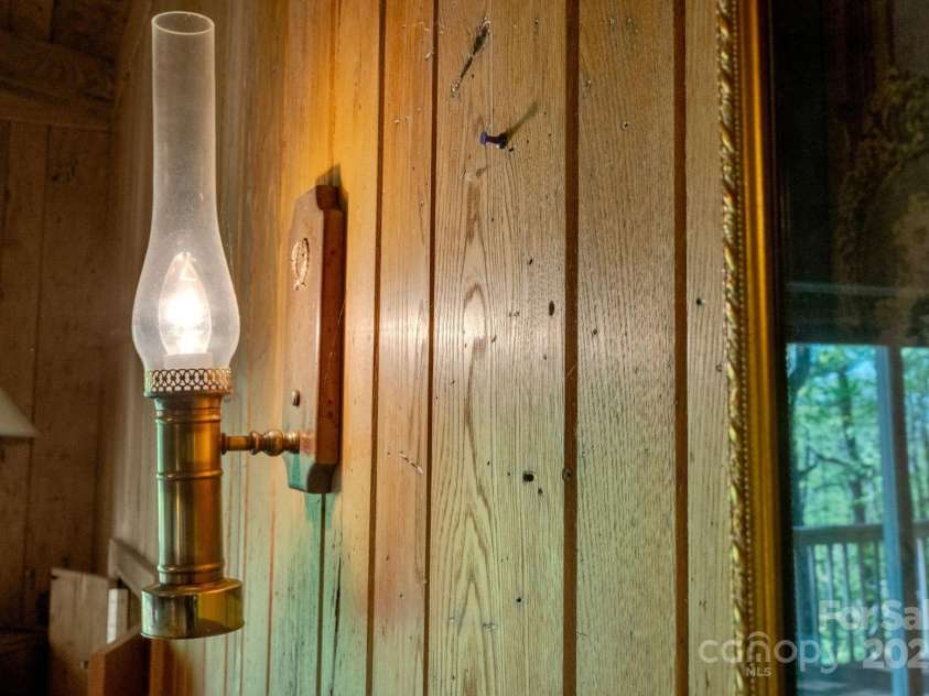 1412 Valmont Drive, Hendersonville, NC 28791.  MLS# CAR4258436, YatesRealty ID 2032. Extremely rare/extinct chestnut!