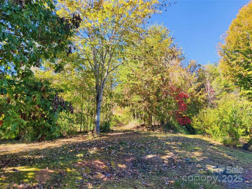 7 and 11 Dalph Drive, Weaverville, NC 28787.  MLS# CAR4315125, YatesRealty ID 2033. Back yard