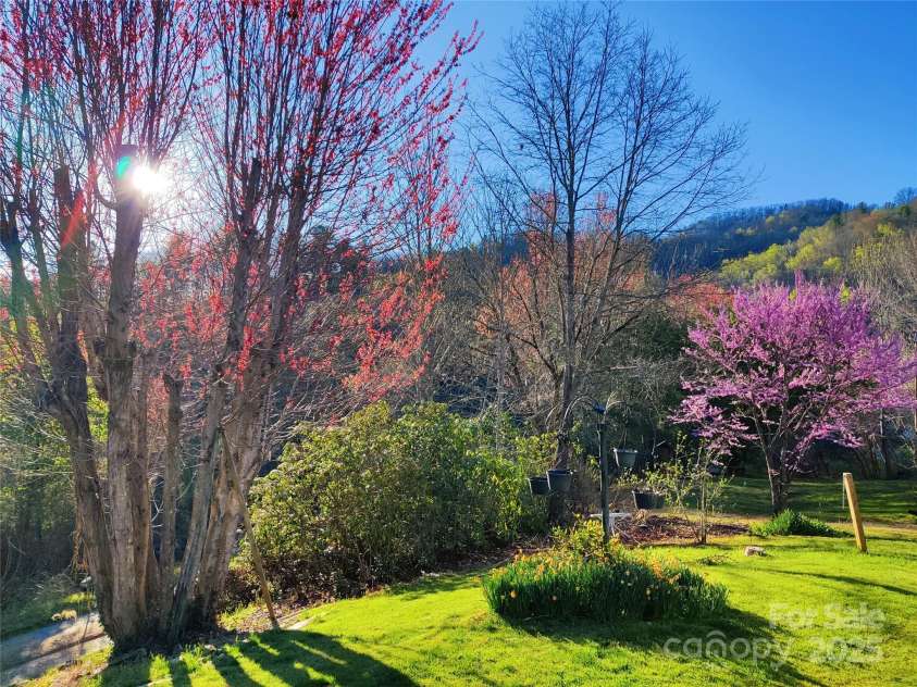 7 and 11 Dalph Drive, Weaverville, NC 28787.  MLS# CAR4315125, YatesRealty ID 2033. Front yard