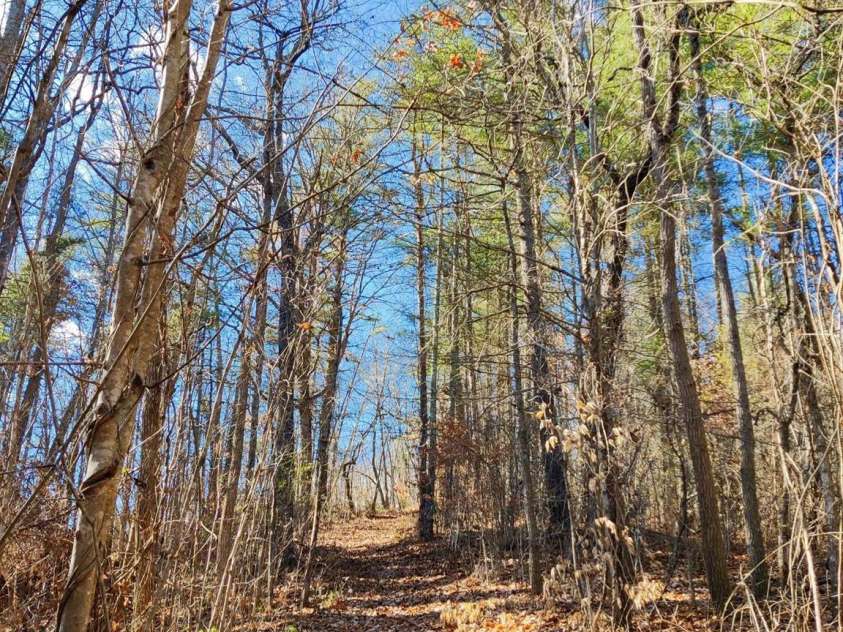 7 and 11 Dalph Drive, Weaverville, NC 28787.  MLS# CAR4315125, YatesRealty ID 2033. Trail up the mountain in back yard