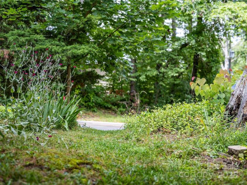 261 Forest Hill Drive, Asheville, NC 28803.  MLS# CAR4269408, YatesRealty ID 20353. Upper back yard- more flat space
