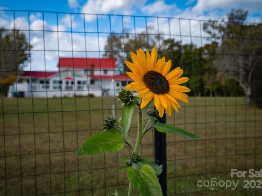 1260 Beaver Island Trail Road, Walnut Cove, NC 27052.  MLS# CAR4325171, YatesRealty ID 2036. Backyard garden perfect for garden enthusiasts