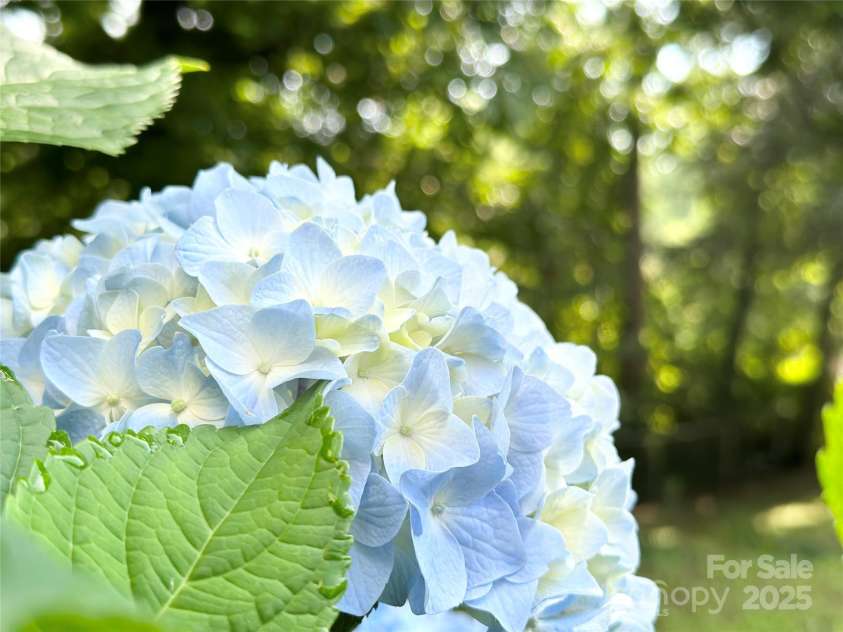 1164 Hidden Lake Drive, Granite Falls, NC 28630.  MLS# CAR4272030, YatesRealty ID 20363. 