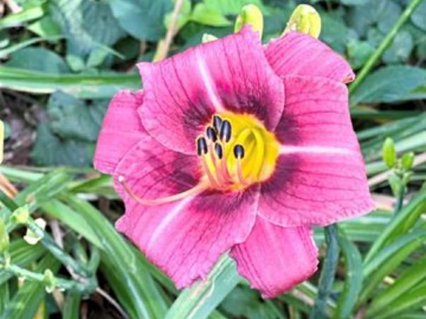 1164 Hidden Lake Drive, Granite Falls, NC 28630.  MLS# CAR4335182, YatesRealty ID 20363. 