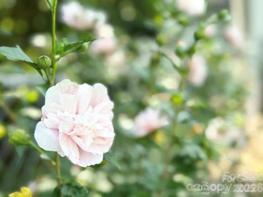 1164 Hidden Lake Drive, Granite Falls, NC 28630.  MLS# CAR4335182, YatesRealty ID 20363. 