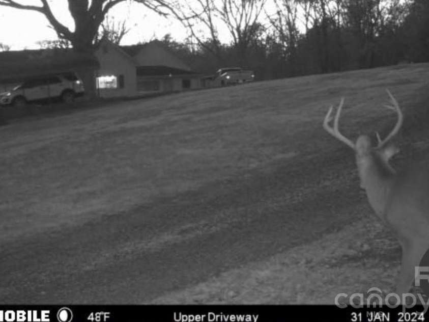 5780 NC 16 Business Highway, Maiden, NC 28650.  MLS# CAR4370464, YatesRealty ID 20374. Deer cam