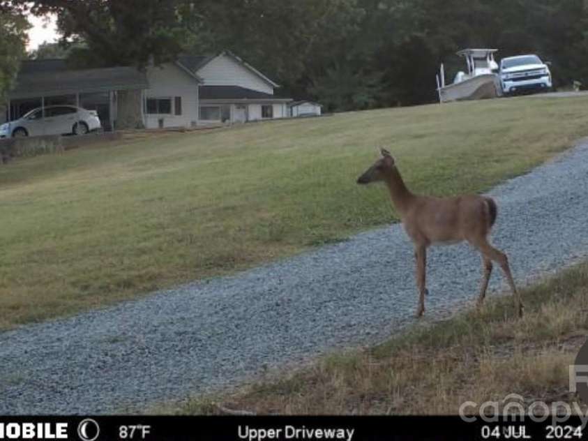 5780 NC 16 Business Highway, Maiden, NC 28650.  MLS# CAR4370464, YatesRealty ID 20374. Deer cam