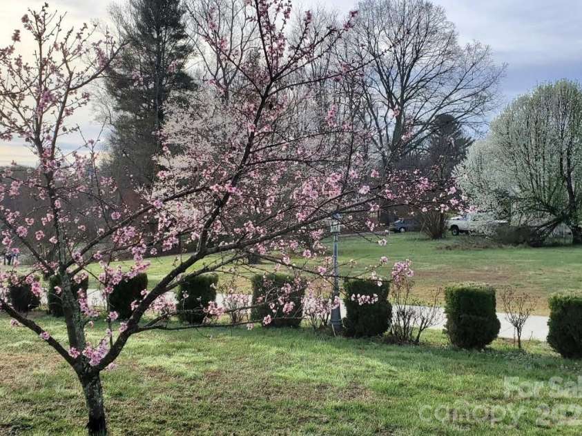 476 Jackson Loop Road, Flat Rock, NC 28731.  MLS# CAR4363362, YatesRealty ID 20386. Driveway in Spring
