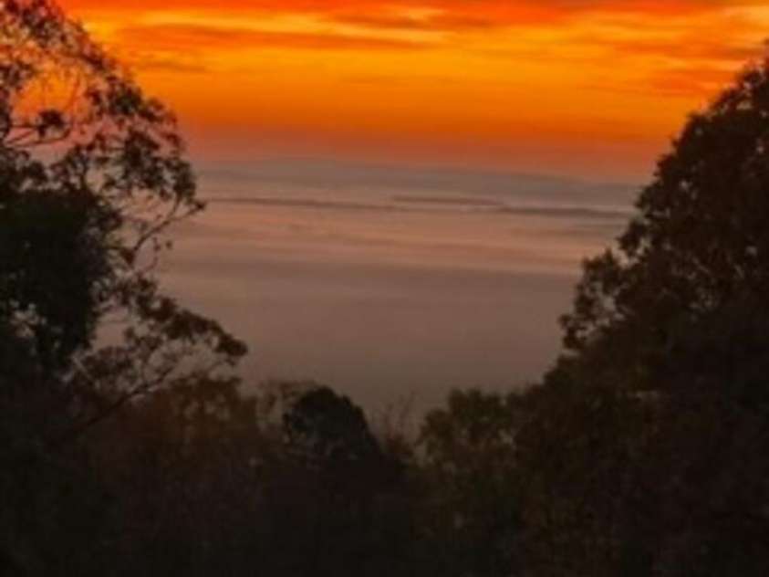 2084 Sierra Trace Road, Denton, NC 27239.  MLS# CAR4269113, YatesRealty ID 20454. 