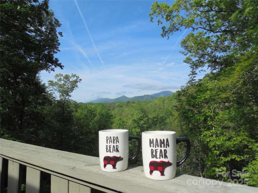 111 Hawks Court, Lake Lure, NC 28746.  MLS# CAR4233649, YatesRealty ID 2046. 