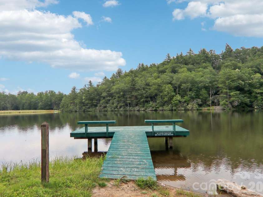 1063 Swiss Pine Lake Drive, Spruce Pine, NC 28777.  MLS# CAR4366630, YatesRealty ID 20477. Dock for residents
