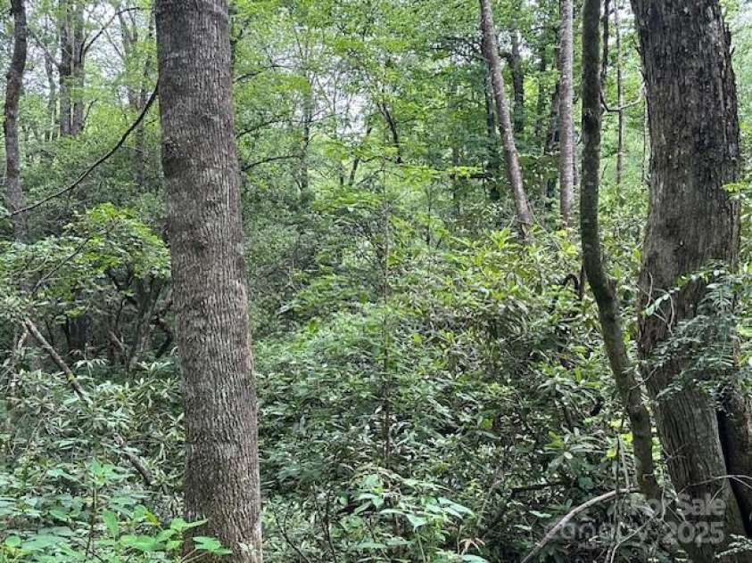 63 Apple Bee Road, Brevard, NC 28712.  MLS# CAR4271772, YatesRealty ID 20505. 