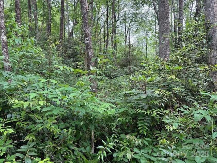 63 Apple Bee Road, Brevard, NC 28712.  MLS# CAR4271772, YatesRealty ID 20505. 