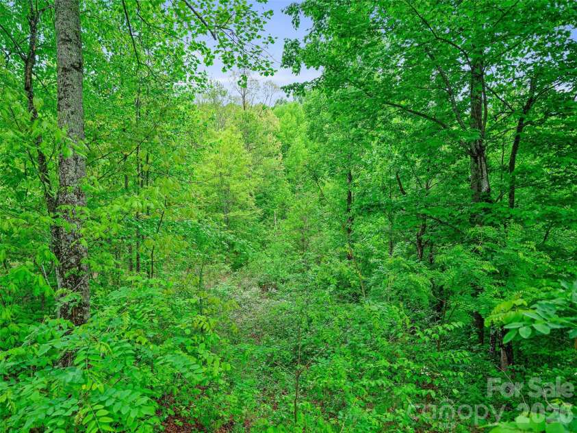 2380 Old Fort Road, Black Mountain, NC 28711.  MLS# CAR4370684, YatesRealty ID 20507. 