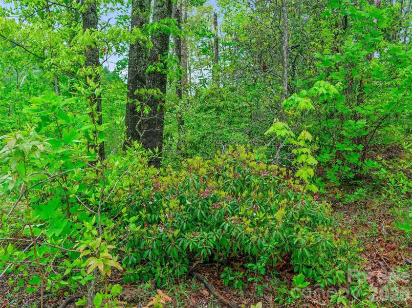 2380 Old Fort Road, Black Mountain, NC 28711.  MLS# CAR4370684, YatesRealty ID 20507. 