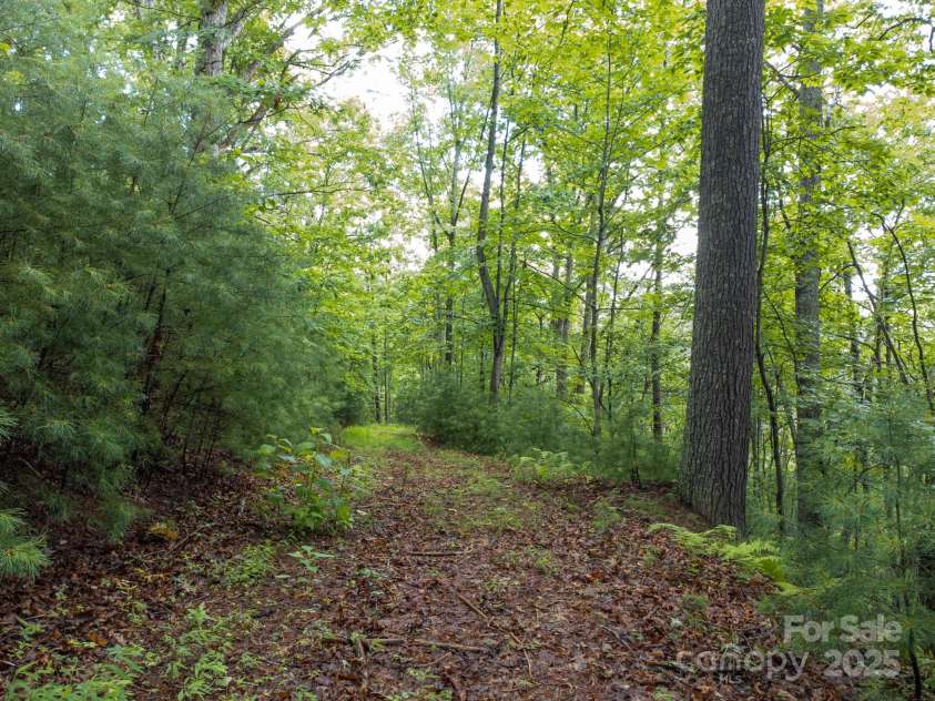 691 Sandy Bottom Road, Marshall, NC 28753.  MLS# CAR4272745, YatesRealty ID 20602. Road in