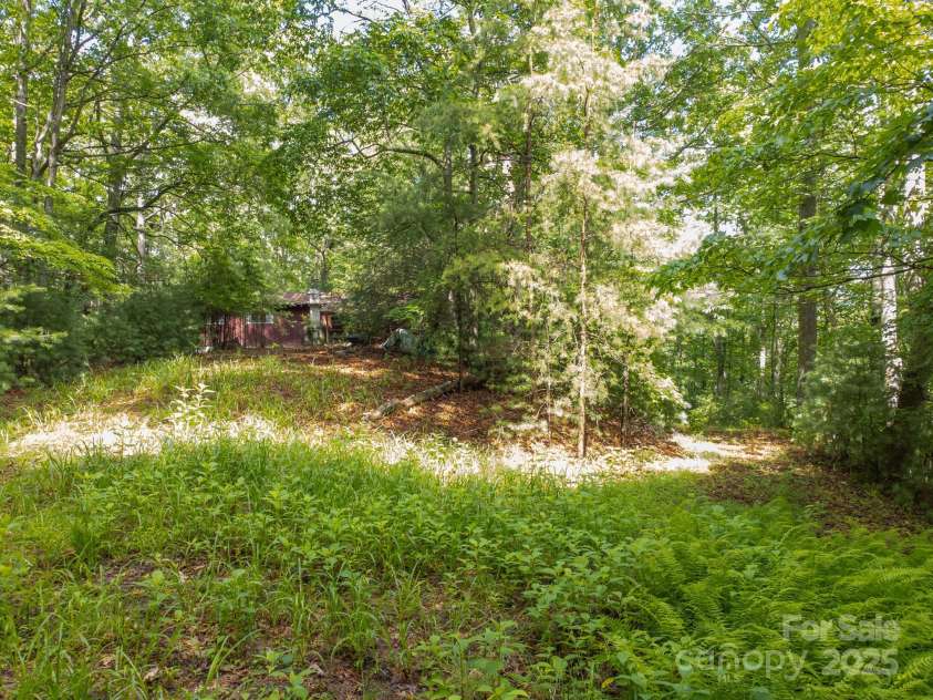 691 Sandy Bottom Road, Marshall, NC 28753.  MLS# CAR4272745, YatesRealty ID 20602. Summer driveway to home on left