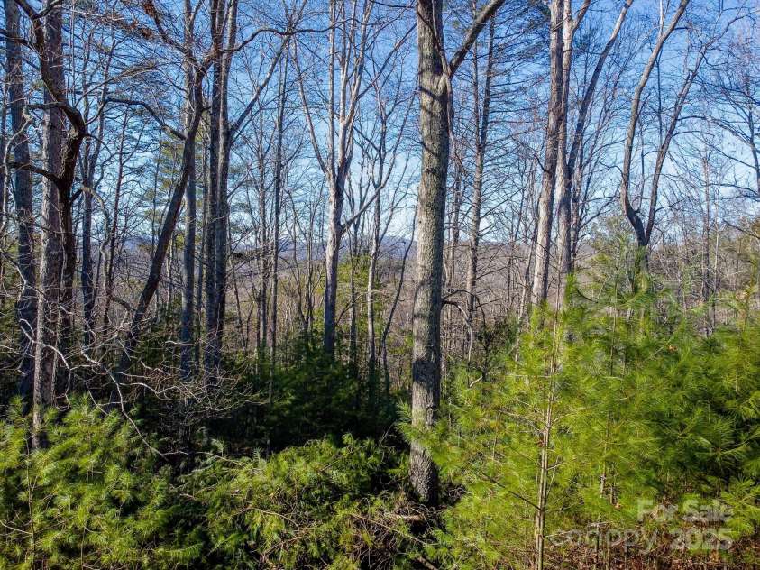 691 Sandy Bottom Road, Marshall, NC 28753.  MLS# CAR4272745, YatesRealty ID 20602. Winter Views