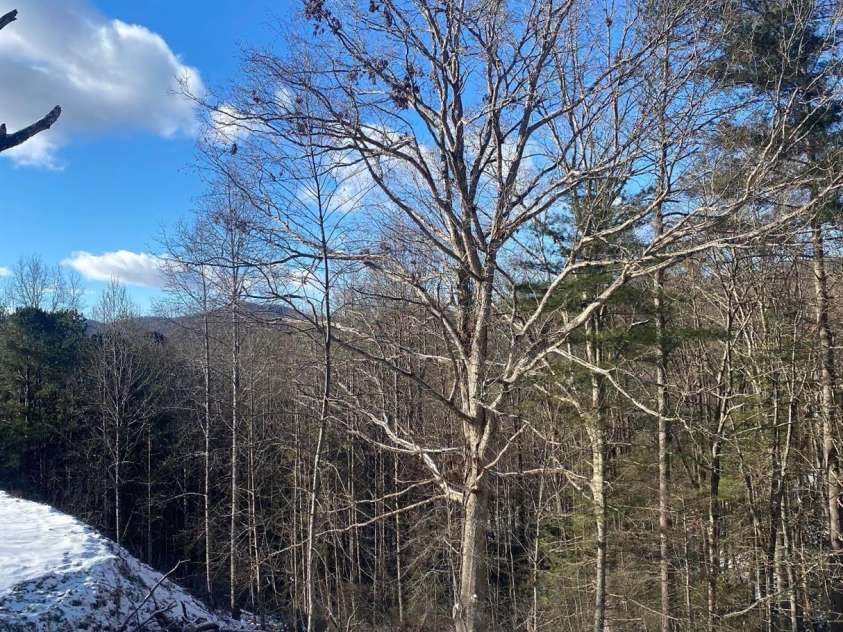 34 Lindsey Hill Lane, Zirconia, NC 28790.  MLS# CAR4376052, YatesRealty ID 20645. 