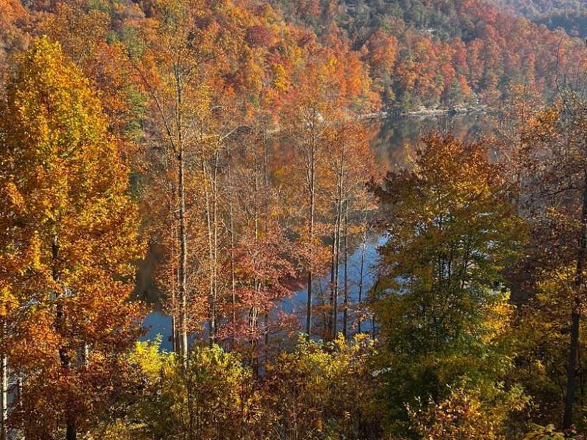 75 Indigo Bunting Court, Tuckasegee, NC 28783.  MLS# CAR4264304, YatesRealty ID 20654. 