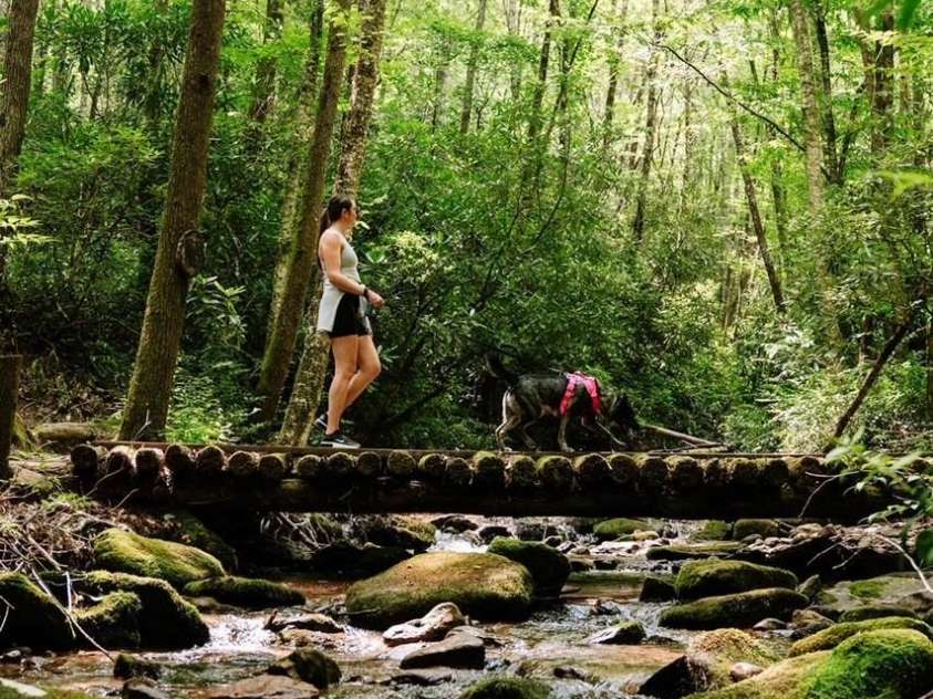 75 Indigo Bunting Court, Tuckasegee, NC 28783.  MLS# CAR4264304, YatesRealty ID 20654. 