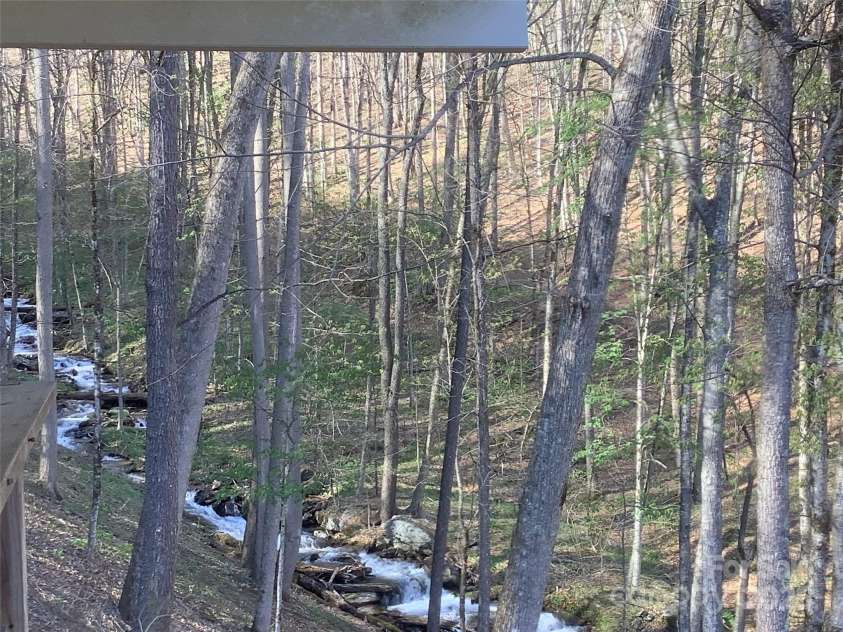 124 Baconton Cove, Waynesville, NC 28786.  MLS# CAR4241453, YatesRealty ID 20752. Creek bordering federal lands