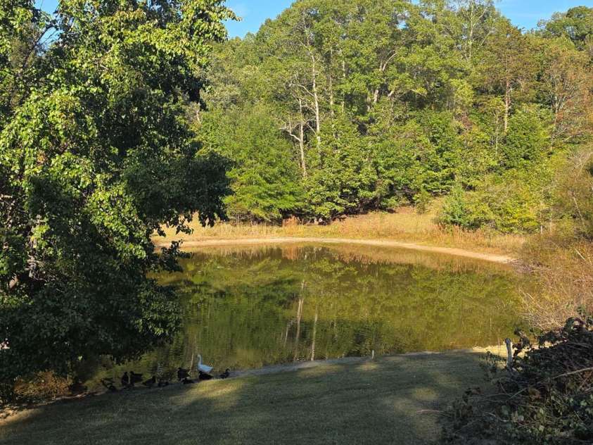 3490 US Hwy Business 220 Highway, Stoneville, NC 27048.  MLS# CAR4309769, YatesRealty ID 2076. 