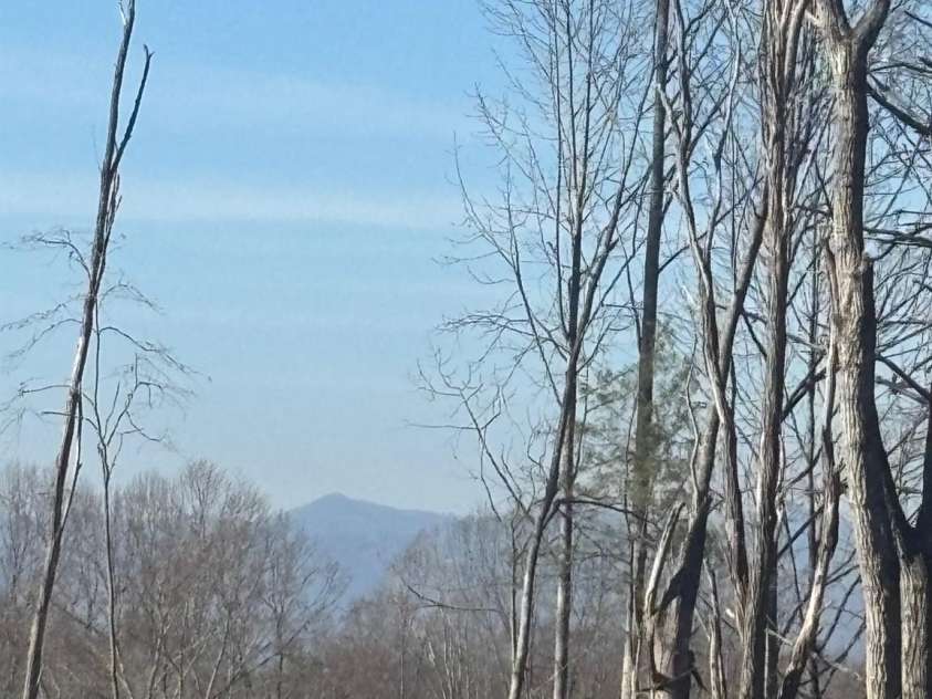905 Hutch Mountain Road, Fletcher, NC 28732.  MLS# CAR4334539, YatesRealty ID 2076. 