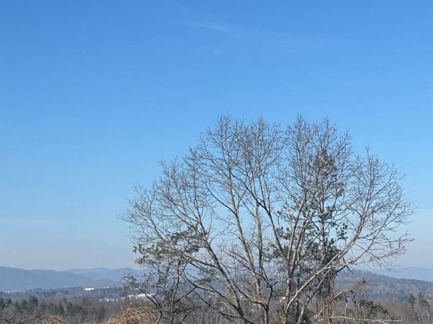 905 Hutch Mountain Road, Fletcher, NC 28732.  MLS# CAR4334539, YatesRealty ID 2076. 