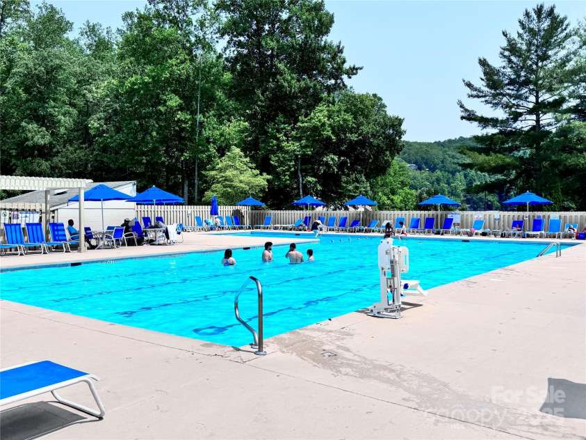 231 Blue Bird Road, Lake Lure, NC 28746.  MLS# CAR4268421, YatesRealty ID 20763. 