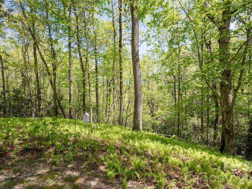139 Panther Gap Road, Brevard, NC 28712.  MLS# CAR4373521, YatesRealty ID 20767. 