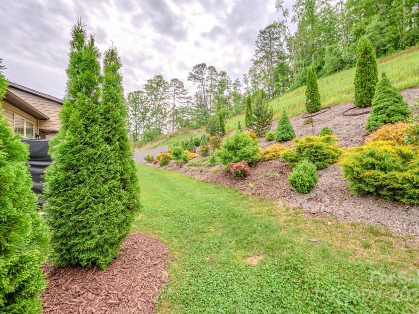 153 Water Leaf Drive, Weaverville, NC 28787.  MLS# CAR4260555, YatesRealty ID 20771. Lush Plantings