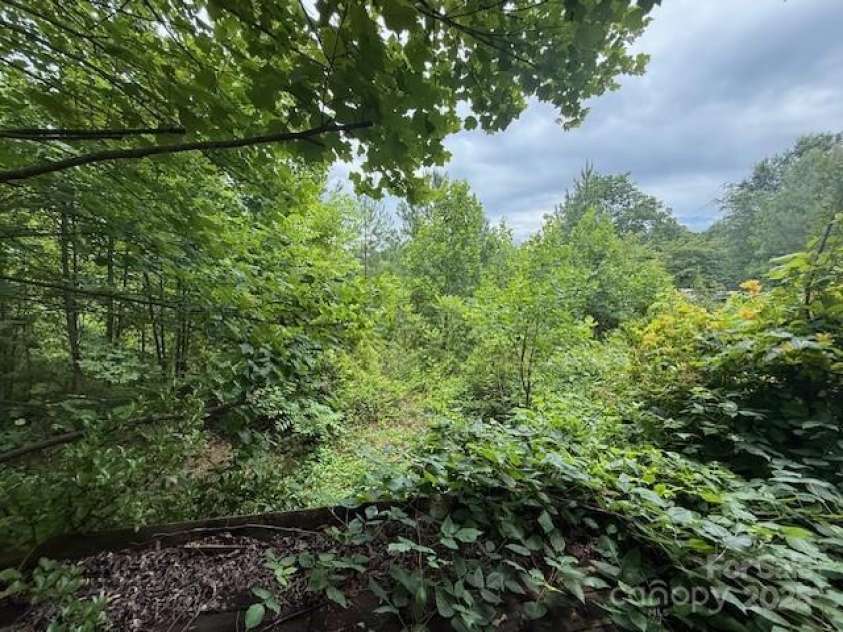 69 Ginger Snap Drive, Nebo, NC 28761.  MLS# CAR4271311, YatesRealty ID 20810. 