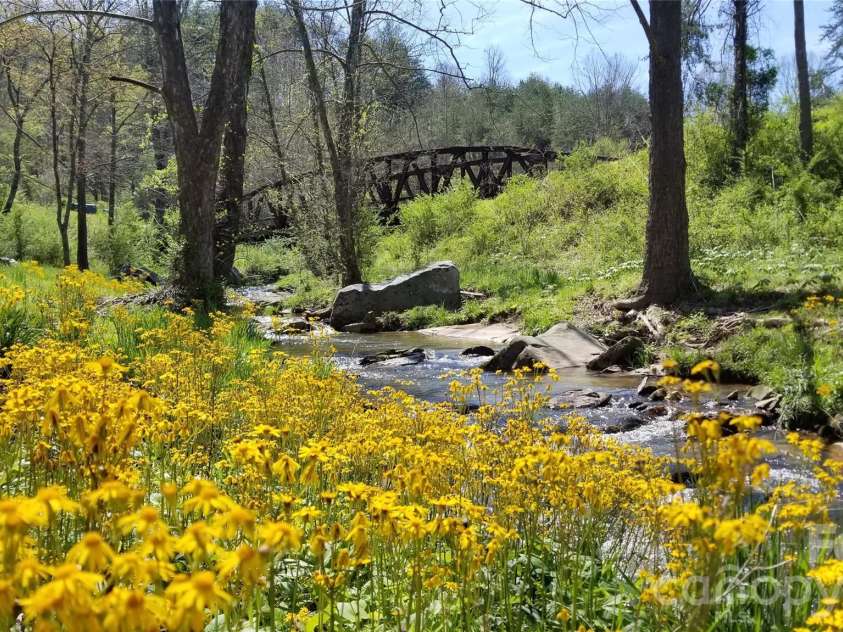 6 River Run, Asheville, NC 28804.  MLS# CAR4363659, YatesRealty ID 20845. 