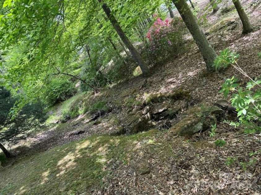 266 Case Street, Columbus, NC 28722.  MLS# CAR4265986, YatesRealty ID 20911. Cascading Rock Garden with Creek!