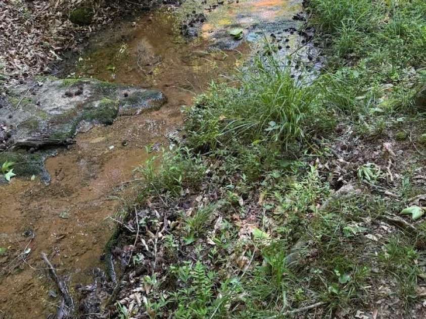 266 Case Street, Columbus, NC 28722.  MLS# CAR4265986, YatesRealty ID 20911.  Creek runs along right side of property!