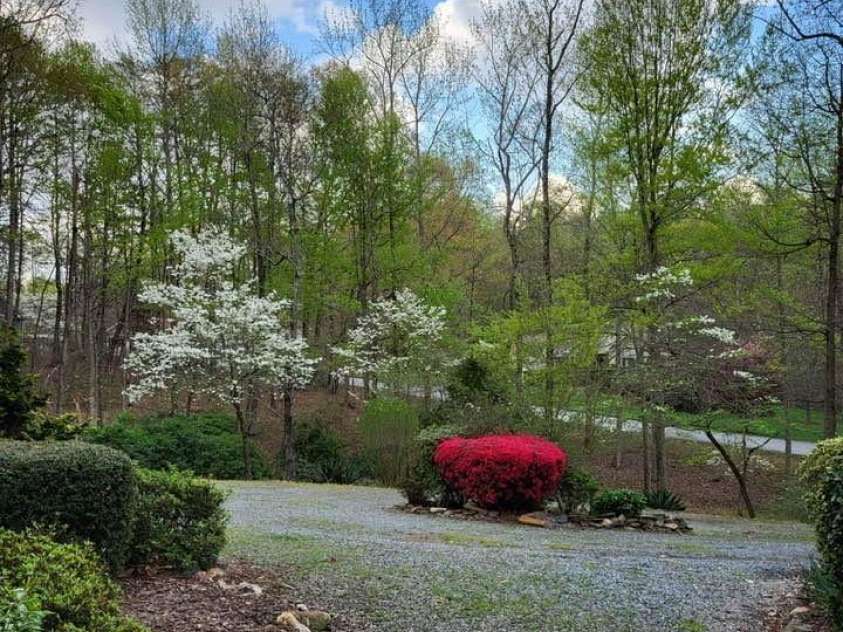 266 Case Street, Columbus, NC 28722.  MLS# CAR4265986, YatesRealty ID 20911. Springtime blooms!
