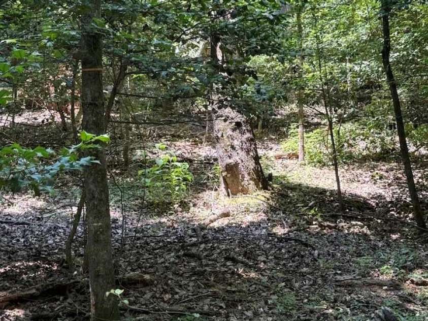 266 Case Street, Columbus, NC 28722.  MLS# CAR4265986, YatesRealty ID 20911. Wooded area enhances privacy!