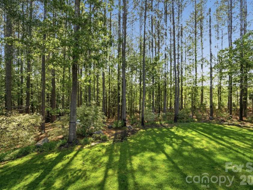 3105 Stanway Court, Waxhaw, NC 28173.  MLS# CAR4372880, YatesRealty ID 20924. Spacious Backyard