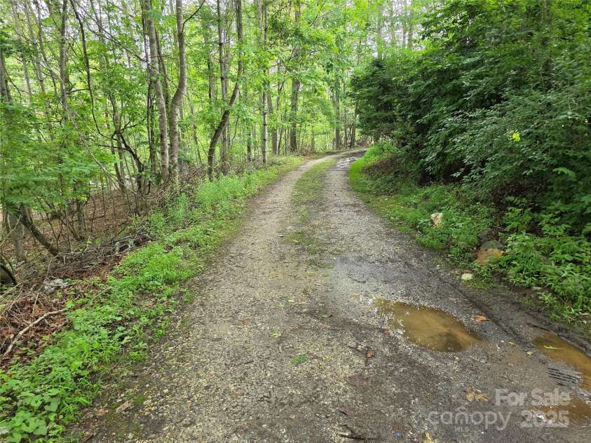 244 Mcmahan Lane, Bakersville, NC 28705.  MLS# CAR4269540, YatesRealty ID 20927. McMahan Lane passing to the north side of the listing