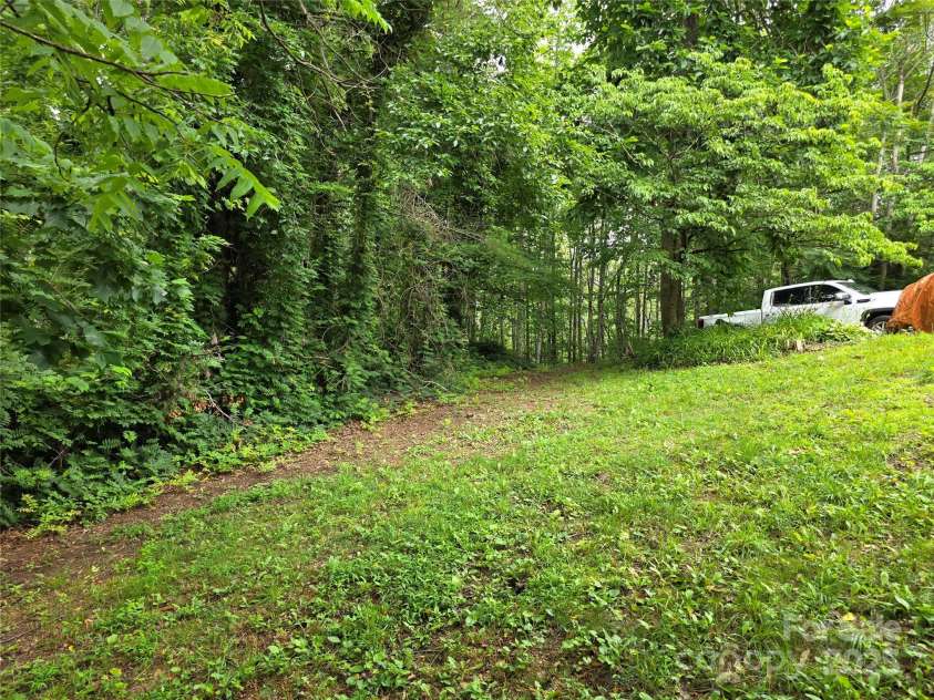244 Mcmahan Lane, Bakersville, NC 28705.  MLS# CAR4269540, YatesRealty ID 20927. Western edge of lawn looking towards McMahan Lane