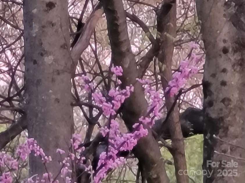 3333 Roberta Road, Concord, NC 28027.  MLS# CAR4325071, YatesRealty ID 2096. 