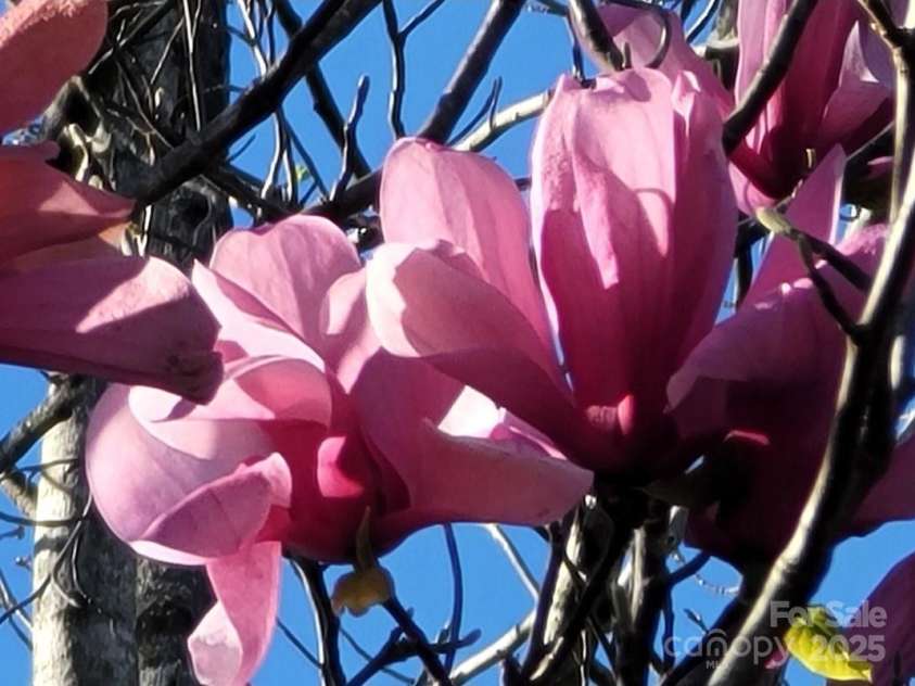 3333 Roberta Road, Concord, NC 28027.  MLS# CAR4325071, YatesRealty ID 2096. 