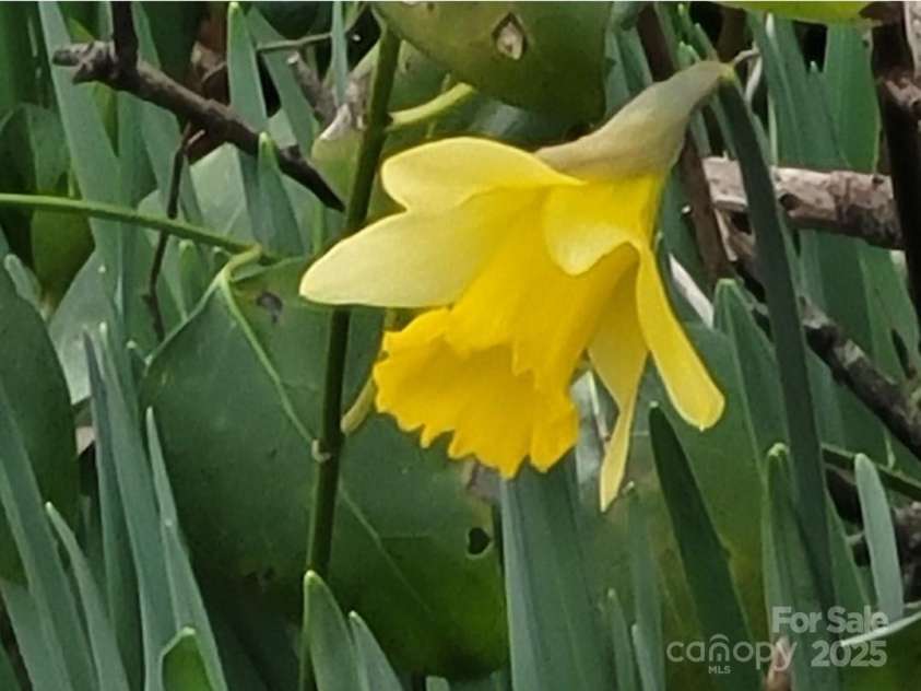 3333 Roberta Road, Concord, NC 28027.  MLS# CAR4325071, YatesRealty ID 2096. 