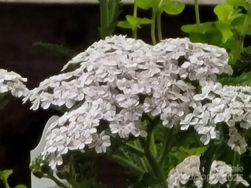 3333 Roberta Road, Concord, NC 28027.  MLS# CAR4325071, YatesRealty ID 2096. 