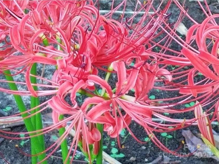 3333 Roberta Road, Concord, NC 28027.  MLS# CAR4325071, YatesRealty ID 2096. 